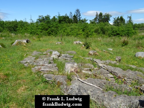 Cavan Burren